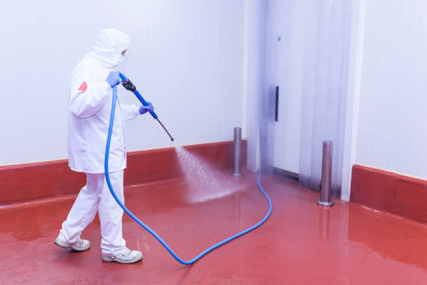 Best Deck and Patio Pressure Washing in Marbury, AL